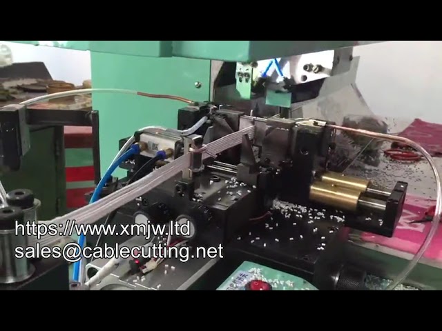 High-Speed Auto Cutting and Stripping Machine for Custom Cable Wire Up To 300mm