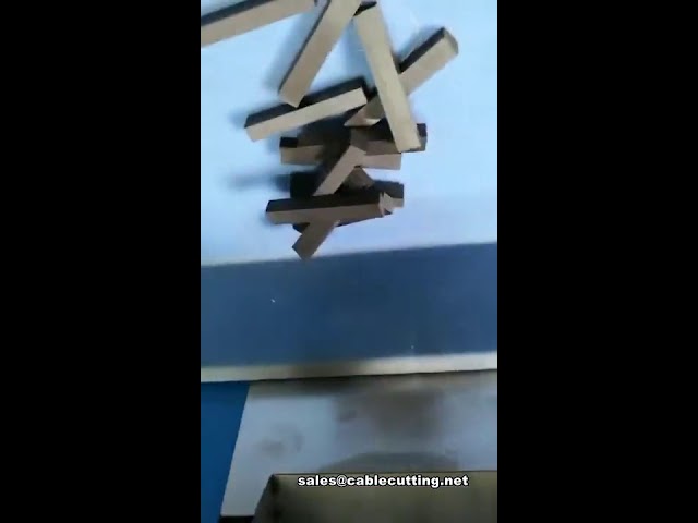 Automatic Slab Rubber Cutting Machine | Solid Shape Rubber Cutter