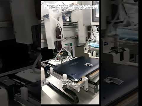 Intelligent Multi Axis On line Type Screw Locking Robot Auto Screw Fasten Machine For Lamps Key boar