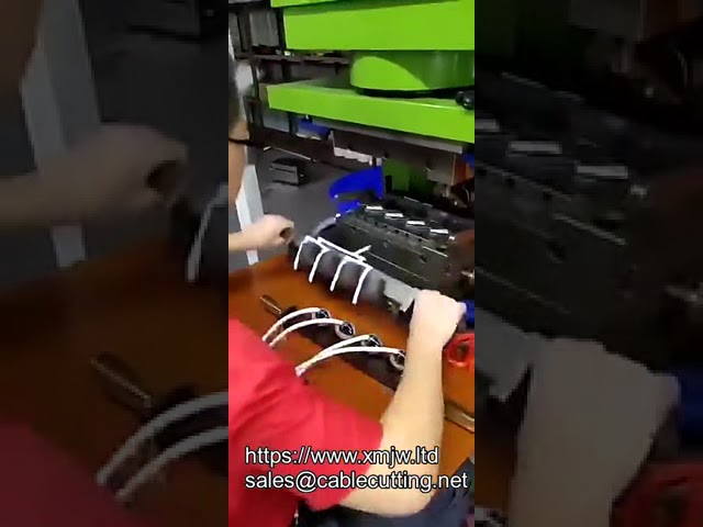 Vertical Clamp Horizontal Injection Molding Machine for AC DC Plugs and Electronic Plastics