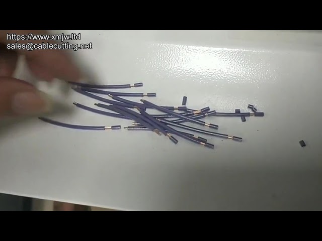 4 sqmm Two Electronic Cables Automatic Cutting and Stripping Machine