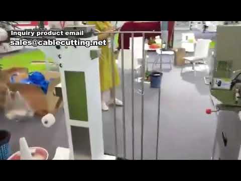 Automatic Wire Seal Inserting and Crimping Machine for Factory Automation