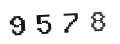 Verification Code Image